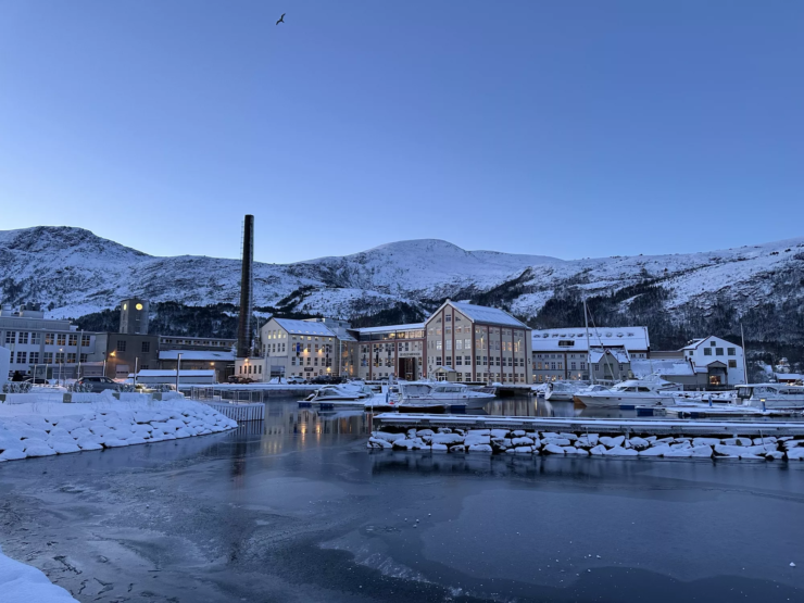 Hydrogen Storage – Hexagon Purus Maritime opens new office in Ålesund, Norway