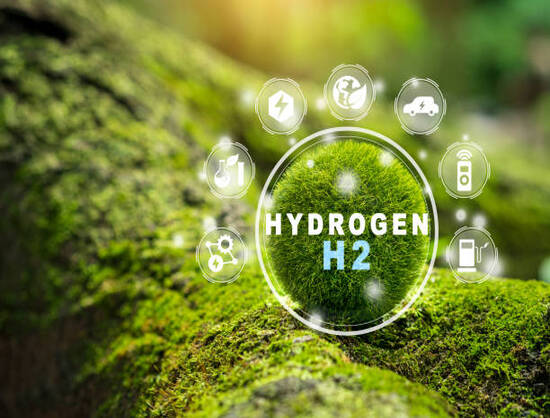 India-Saudi Arabia Collaboration Aims to Catalyze Green Hydrogen Ecosystems: Minister