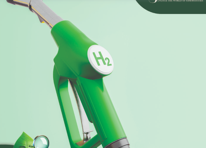 Chloroplant Secures $17M Contract for 10 MW Hydrogen Plant in Sarawak