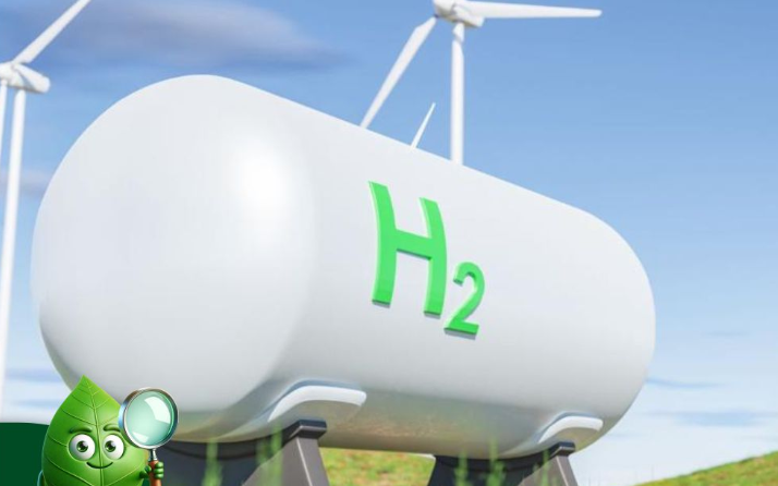 Saudi Arabia, India Strengthen Ties on Green Hydrogen, Oil Stability, and Climate Cooperation