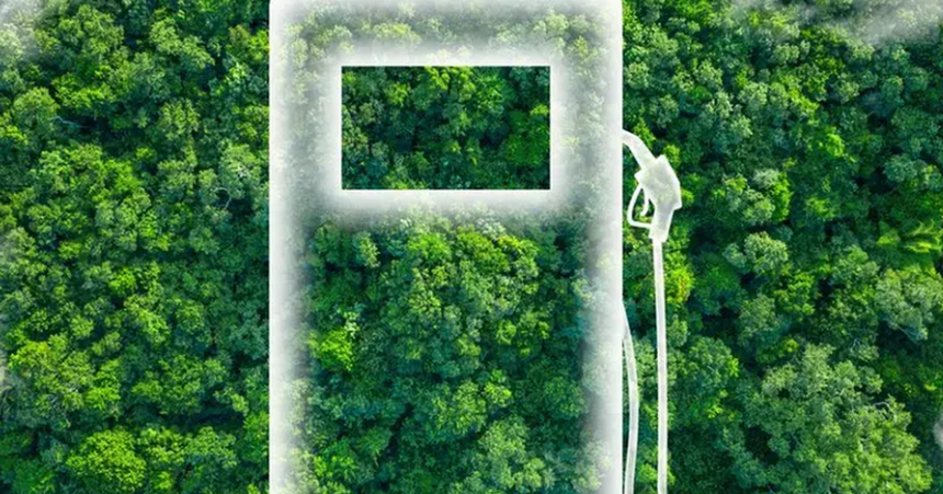 The Roar Goes Green: Hydrogen Power in the Fast Lane
