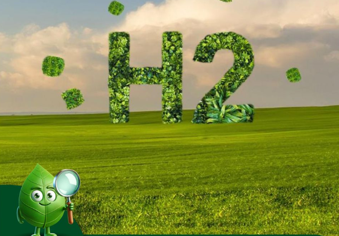 Netherlands commits €2.1bn to green hydrogen production and introduces 4% industry mandate
