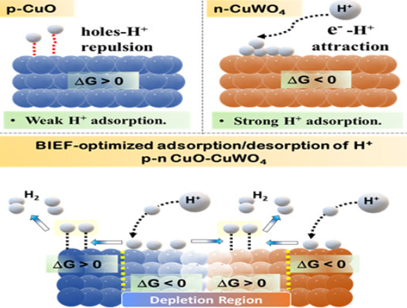 INST scientists uncover key proton adsorption mechanism to boost green hydrogen production