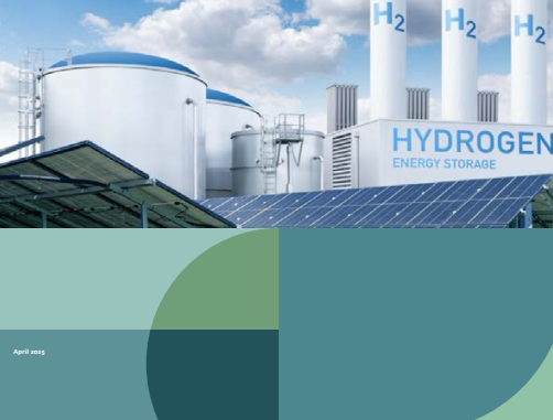 Unlocking Opportunities: A Framework for Assessing Green Hydrogen Potential in Emerging Markets