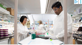 Urine, not water for efficient production of green hydrogen