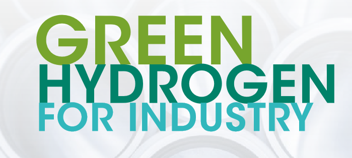 Green Hydrogen for Industry- A guide to Policy making