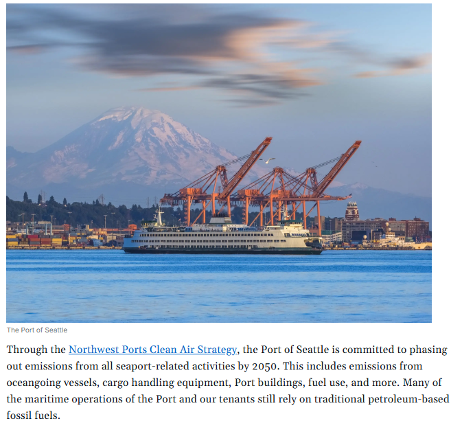 Green Hydrogen: The Role of the Port in an Emerging Industry