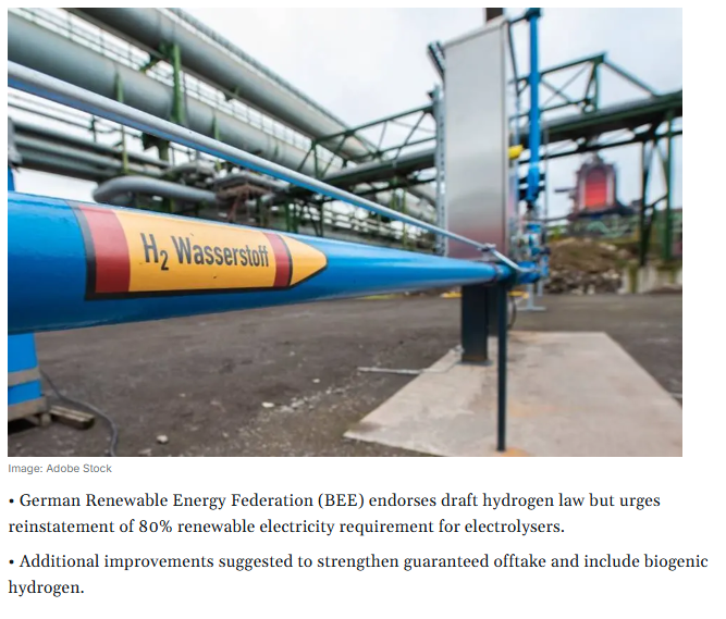 German Renewable Energy Federation Pushes for Stronger Provisions in Draft Hydrogen Acceleration Law
