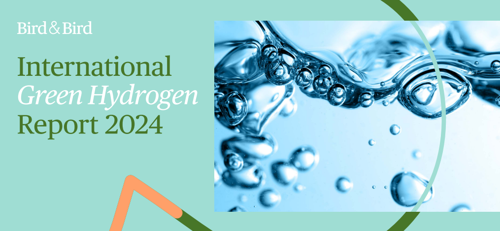 International Green Hydrogen Report 2024