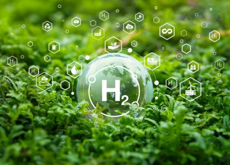 Support for green hydrogen projects