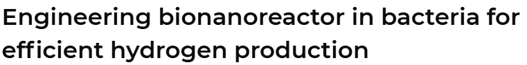 Engineering bionanoreactor in bacteria for efficient hydrogen production