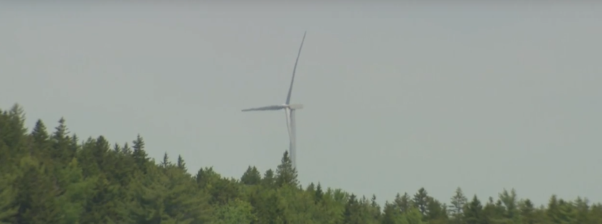 Company in Canada plans massive wind farm to power green hydrogen project