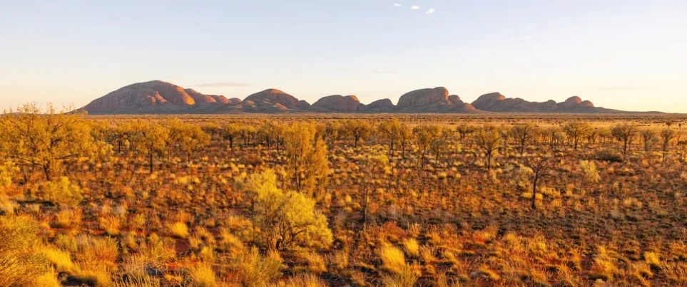 Developer plans two 10GW green hydrogen projects in Australian outback that will use water from the air