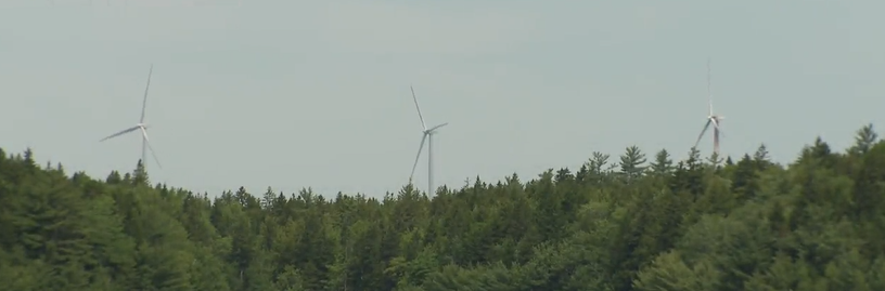 Opponents voice concerns as Nova Scotia project bets billions on green hydrogen