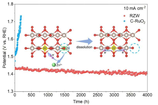 Novel catalyst enhances oxygen evolution reaction in acidic conditions to boost green hydrogen production