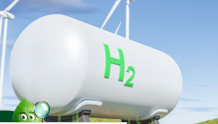 Investments in biofuels and green hydrogen on the rise: S&amp;P Global